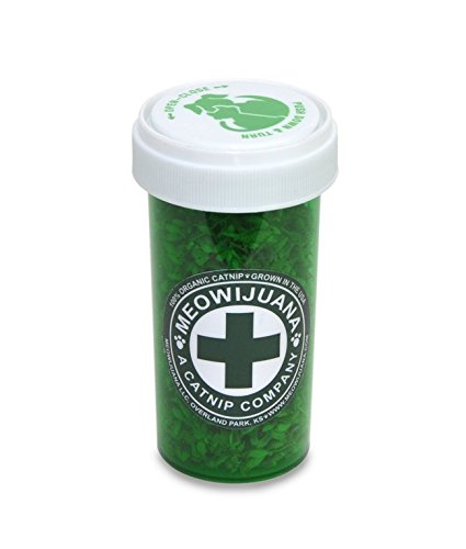 Algopix Similar Product 14 - Meowijuana MeowiWaui  Primo Kitty
