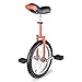 Algopix Similar Product 10 - AW 16 Inch Wheel Unicycle Leakproof