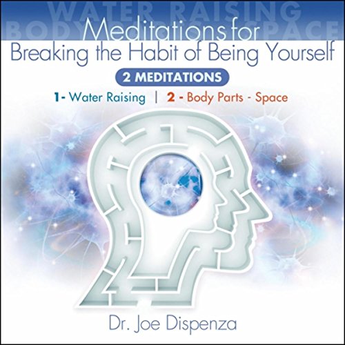 Algopix Similar Product 17 - Meditations for Breaking the Habit of