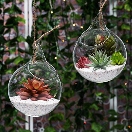 Algopix Similar Product 13 - Set of 2 Decorative Clear Glass