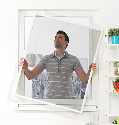 Algopix Similar Product 13 - Culex fensterfliegengitter Basic 100 x