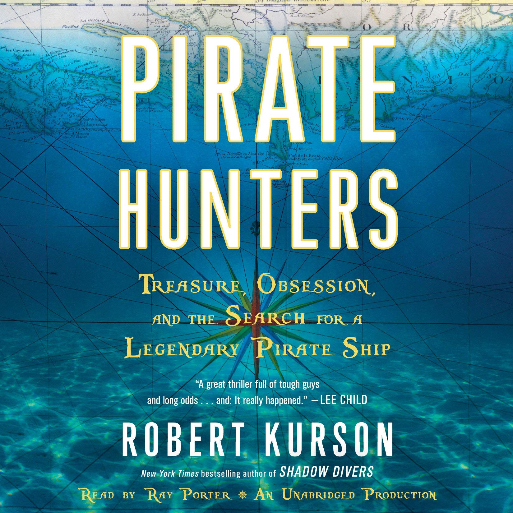 Algopix Similar Product 11 - Pirate Hunters Treasure Obsession