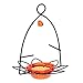 Algopix Similar Product 12 - Birds Choice OFF Oriole FlowerShaped