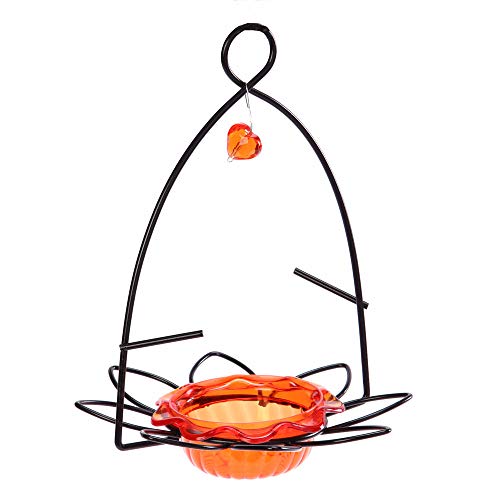 Algopix Similar Product 6 - Birds Choice OFF Oriole FlowerShaped