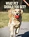 Algopix Similar Product 9 - What Pet Should You Get Best Quiz