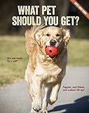 Algopix Similar Product 9 - What Pet Should You Get Best Quiz