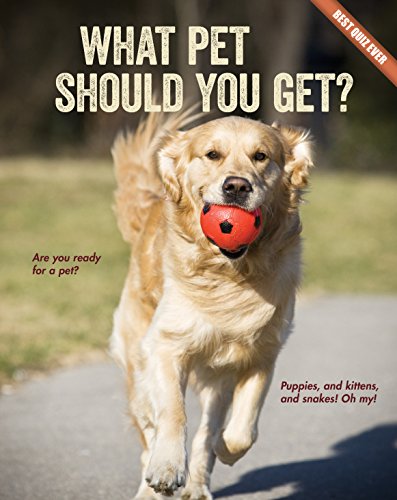 Algopix Similar Product 6 - What Pet Should You Get Best Quiz