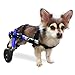 Algopix Similar Product 13 - Walkin Wheels Small Dog Wheelchair