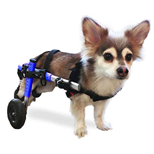 Algopix Similar Product 19 - Walkin Wheels Small Dog Wheelchair