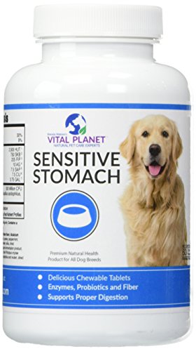 Algopix Similar Product 11 - Vital Planet Sensitive Stomach
