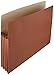 Algopix Similar Product 16 - Amazon Basics Expanding File Pocket