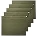 Algopix Similar Product 19 - Amazon Basics Hanging Organizer File
