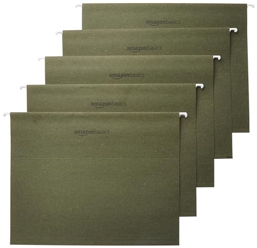 Algopix Similar Product 1 - Amazon Basics Hanging Organizer File