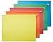 Algopix Similar Product 1 - Amazon Basics Hanging Organizer File