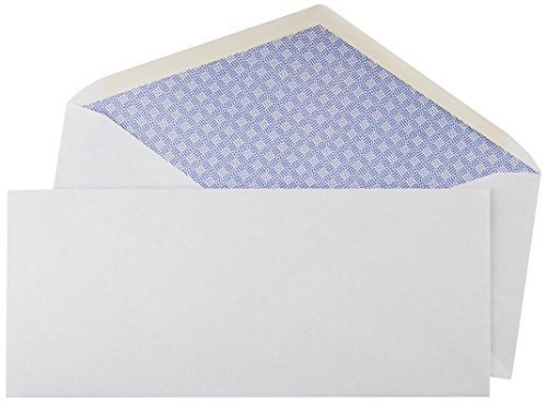 Algopix Similar Product 9 - Amazon Basics 10 Security Tinted