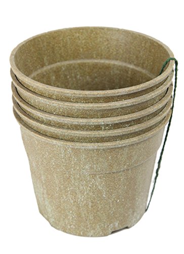 Algopix Similar Product 5 - Barn Eleven Biodegradable Starter Pots