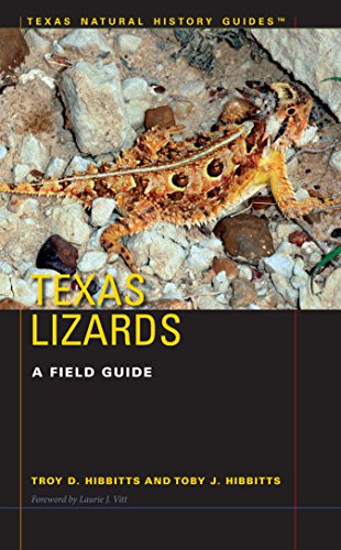 Algopix Similar Product 17 - Texas Lizards A Field Guide Texas