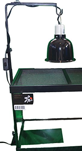 Algopix Similar Product 1 - Blue Spotted Deluxe Lamp Stand to