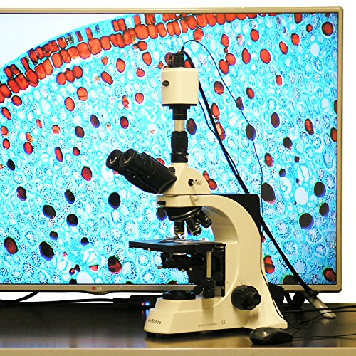 Algopix Similar Product 1 - 40X2500X Plan Infinity Laboratory