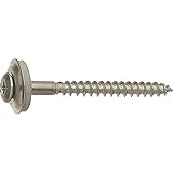 Algopix Similar Product 8 - TX20 A2 KP100 Wood Screws