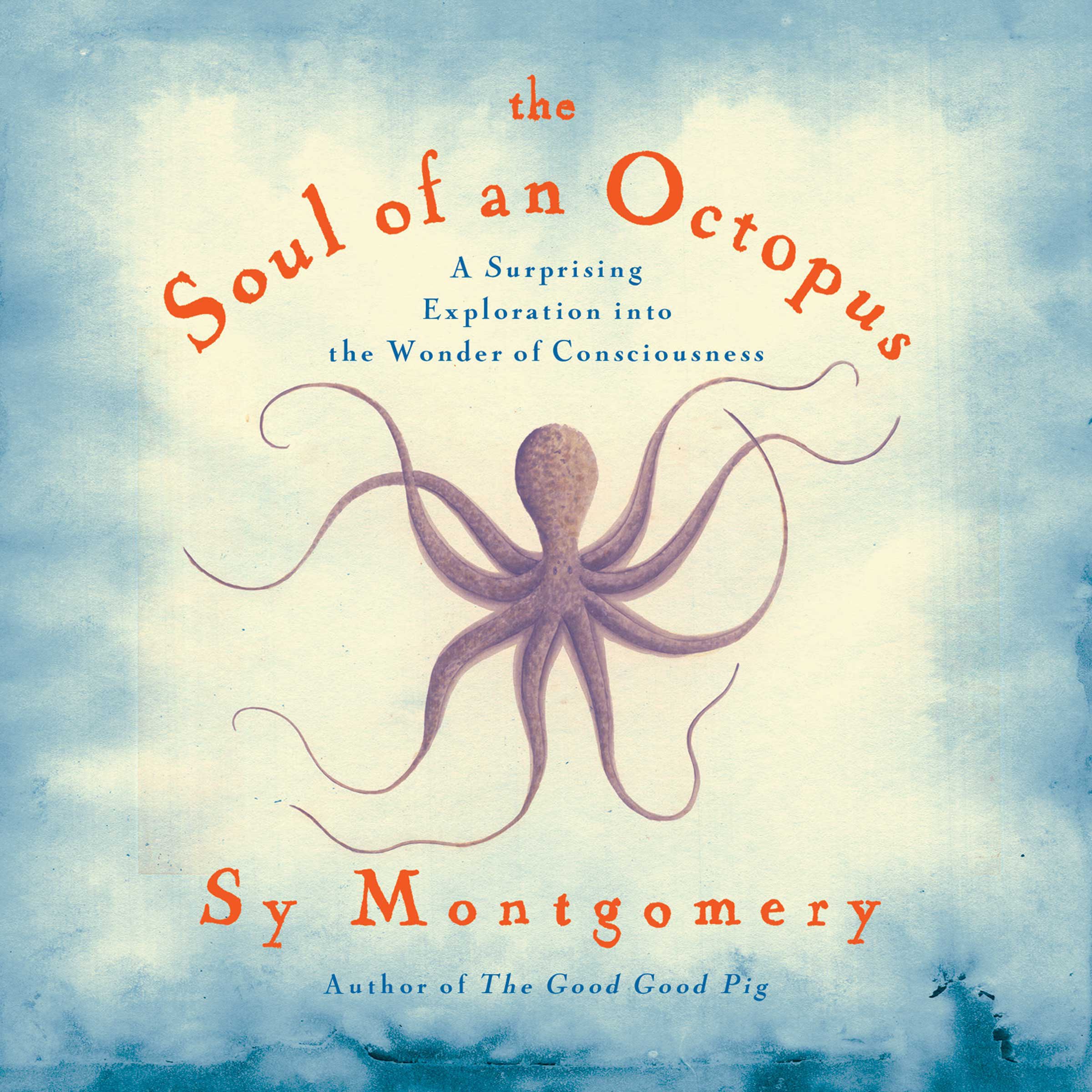 Algopix Similar Product 11 - Soul of an Octopus A Surprising
