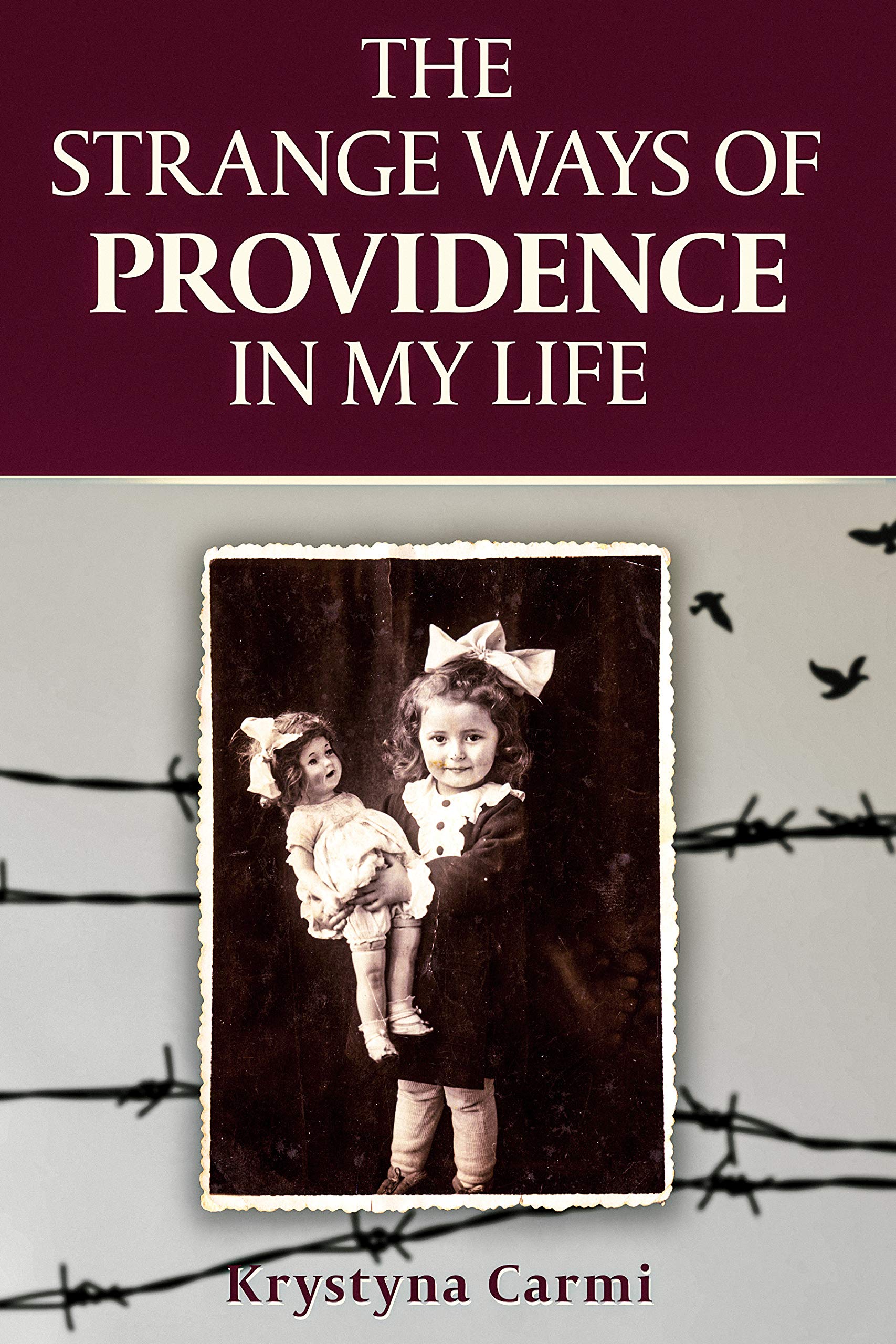 Algopix Similar Product 10 - The Strange Ways of Providence In My