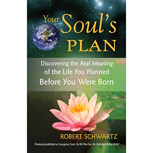 Algopix Similar Product 7 - Your Souls Plan Discovering the Real