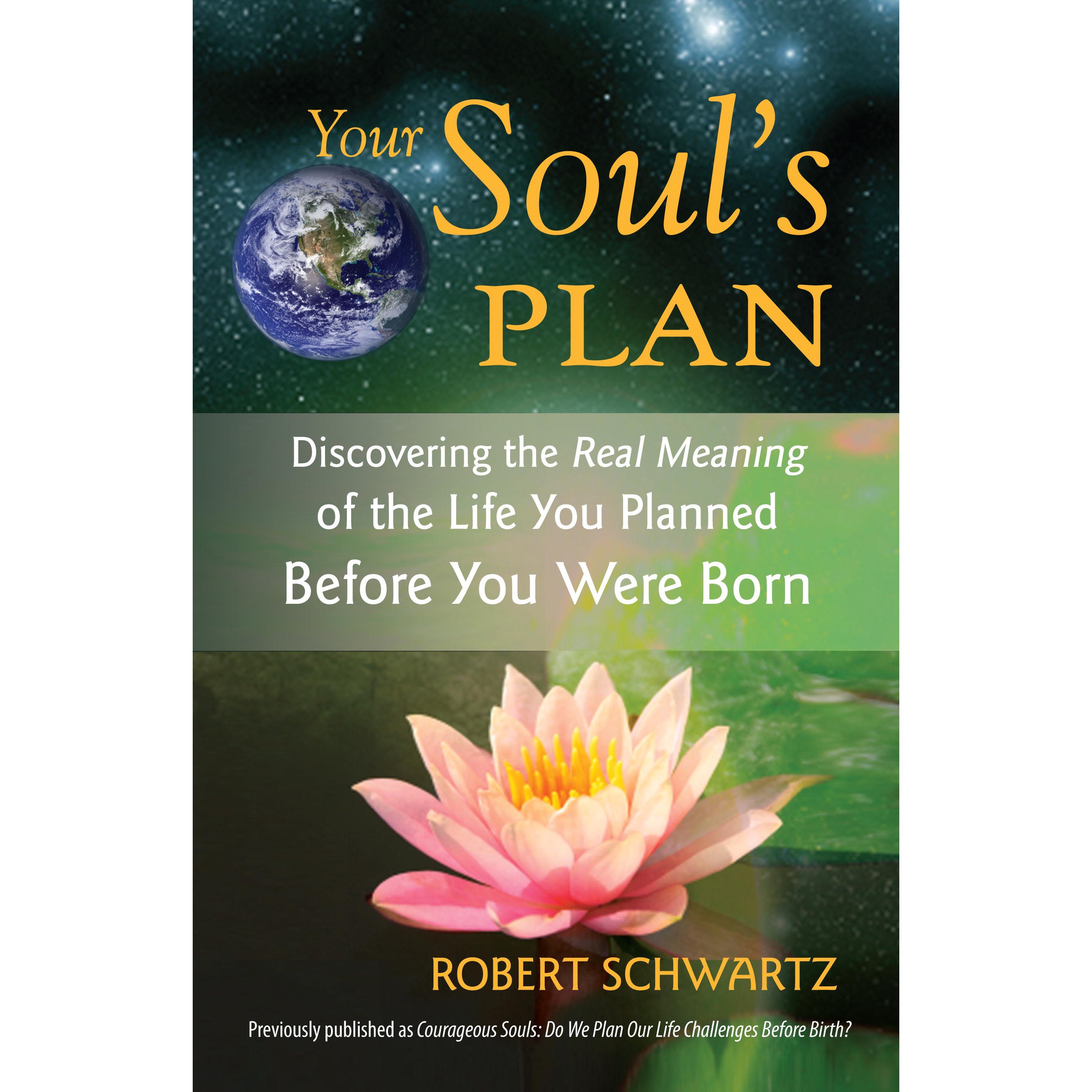 Algopix Similar Product 17 - Your Souls Plan Discovering the Real