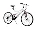 Algopix Similar Product 3 - Dynacraft Womens 24 21 Speed Rip Curl