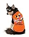 Algopix Similar Product 15 - Rubies LED LightUp Halloween Dog