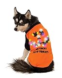 Algopix Similar Product 17 - Rubies LED LightUp Halloween Dog