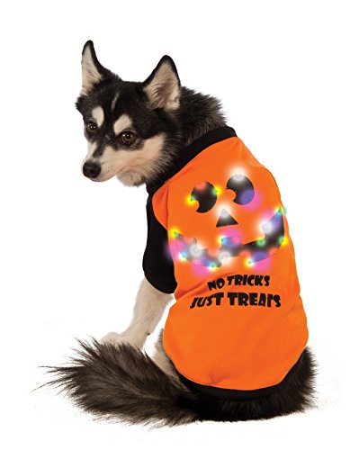 Algopix Similar Product 4 - Rubies LED LightUp Halloween Dog