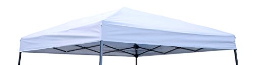 Algopix Similar Product 18 - Trademark Innovations 8 x 8 Square