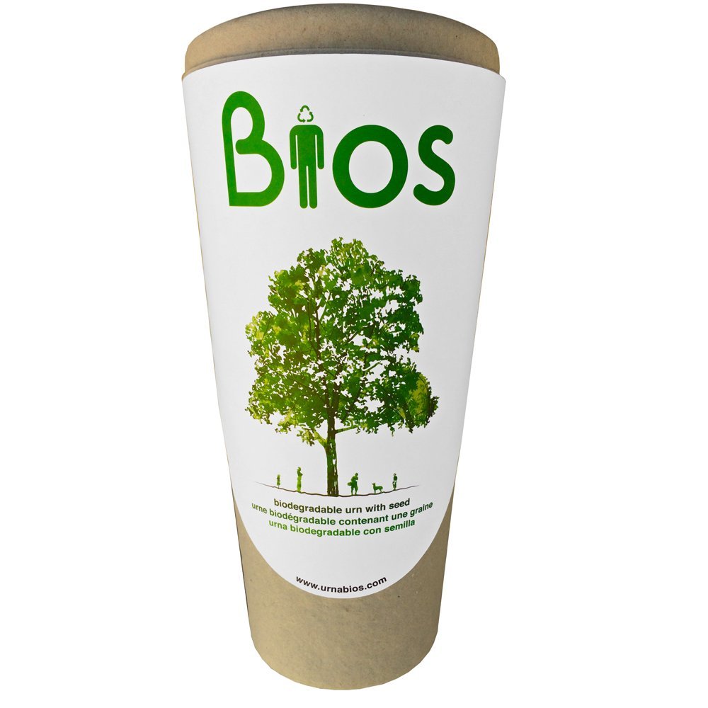 Algopix Similar Product 5 - Bios Biodegradable Cremation Urn for