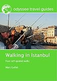 Algopix Similar Product 15 - Walking in Istanbul Four selfguided