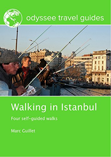 Algopix Similar Product 1 - Walking in Istanbul Four selfguided