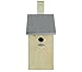 Algopix Similar Product 11 - Dehner Nesting Box with Plexiglas
