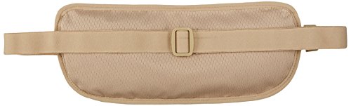 Algopix Similar Product 2 - Amazon Basics RFID Travel Waist Belt