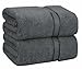 Algopix Similar Product 9 - COTTON CRAFT Ultra Soft Bath Sheets 2