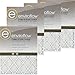 Algopix Similar Product 5 - Enviroflow 13X215X1A Air Filter 4