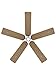Algopix Similar Product 1 - Fan Blade Designs Wood Ceiling Fan