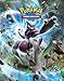 Algopix Similar Product 14 - Pokemon XY8 9Pocket FullView