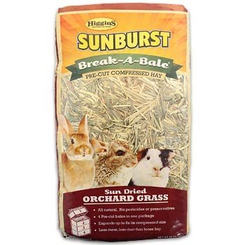 Algopix Similar Product 12 - Higgins Sunburst BreakABale Orchard