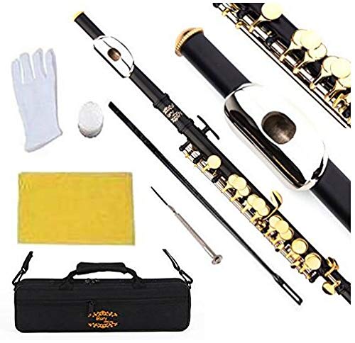 Algopix Similar Product 14 - Glory Key of C Piccolo with Case Joint