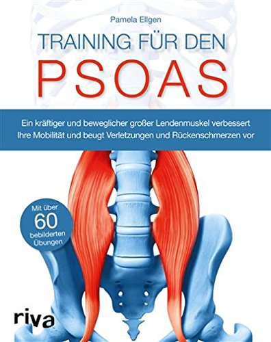 Algopix Similar Product 3 - Training fr den Psoas Ein krftiger