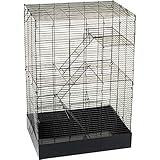 Algopix Similar Product 16 - Petco Brand  You  Me Rat Manor