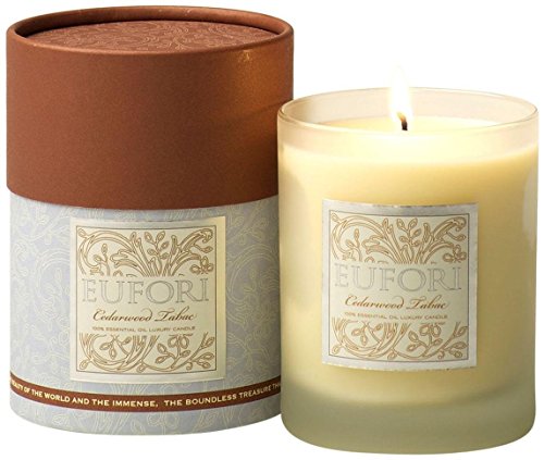 Algopix Similar Product 4 - rareEarth Eufori Cedarwood Tabac Candle