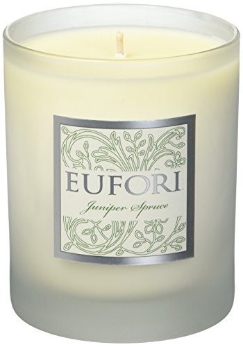 Algopix Similar Product 3 - rareEarth Eufori Juniper Spruce Candle