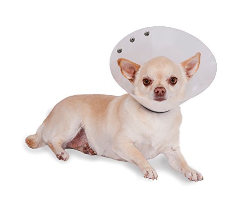 Algopix Similar Product 2 - KVP Recova Clear Pet Recovery Collar