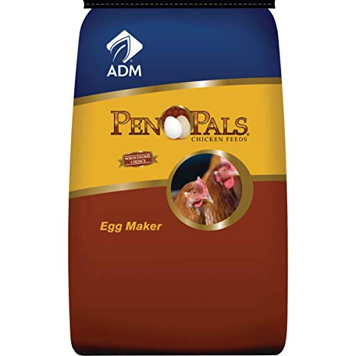 Algopix Similar Product 8 - Adm Alliance Nutrition 70010AAA44 Egg